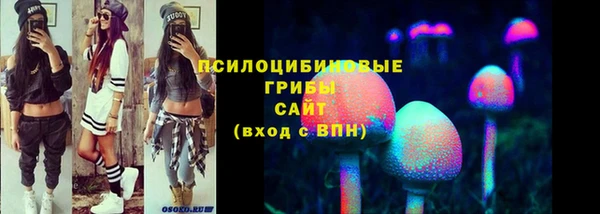 крисы Вяземский